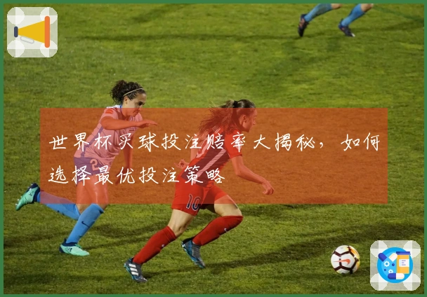 世界杯买球投注赔率大揭秘，如何选择最优投注策略