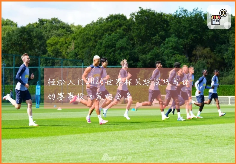 轻松入门2026世界杯买球技巧与你的赛事投注策略分享