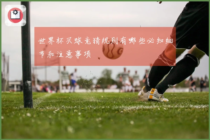 世界杯买球竞猜规则有哪些必知细节和注意事项