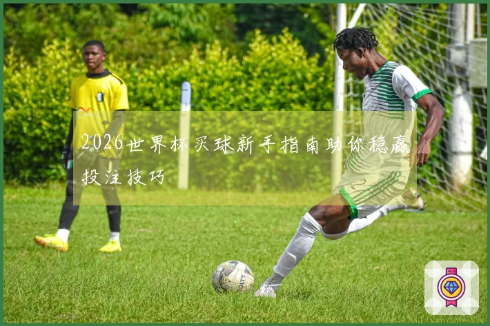 2026世界杯买球新手指南助你稳赢投注技巧