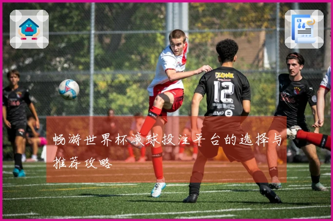 畅游世界杯滚球投注平台的选择与推荐攻略