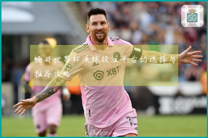 畅游世界杯滚球投注平台的选择与推荐攻略